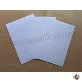 10 xấp Giấy A4 fort trắng 210 GSM 