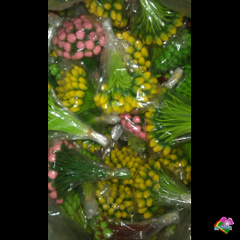 1 bịch Nụ mai đào