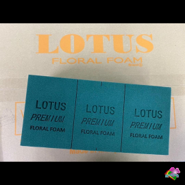 50 thùng xốp cắm hoa tươi Lotus