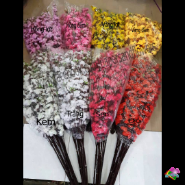 10 bó cành hoa mai, hoa đào