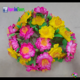 Hoa mai hoa đào kg