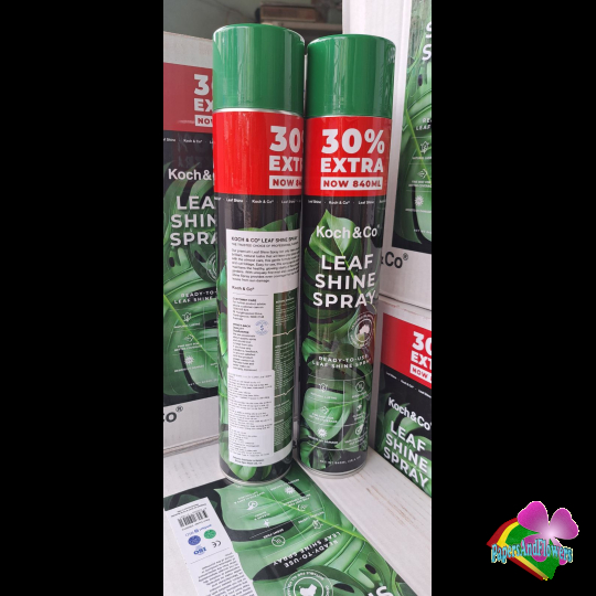 Thùng sơn xịt bóng lá Leaf Shine Koch