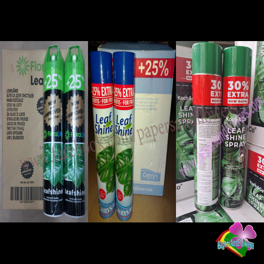 Chai sơn xịt bóng lá Leaf Shine