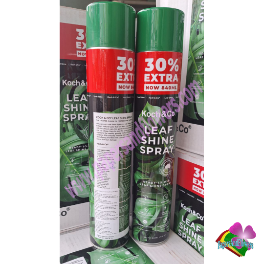 Chai sơn xịt bóng lá Leaf Shine