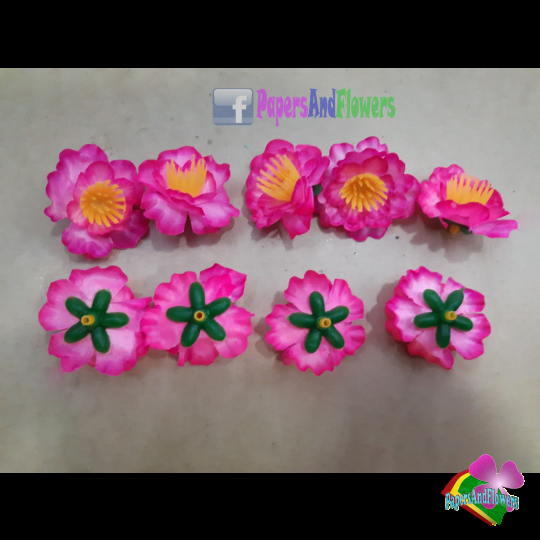 Hoa mai hoa đào kg