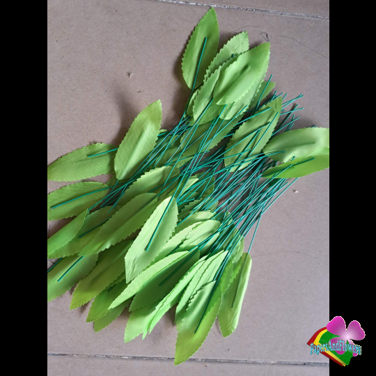 Hoa mai hoa đào kg