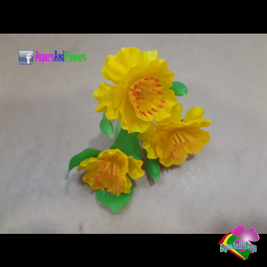 Hoa mai hoa đào kg