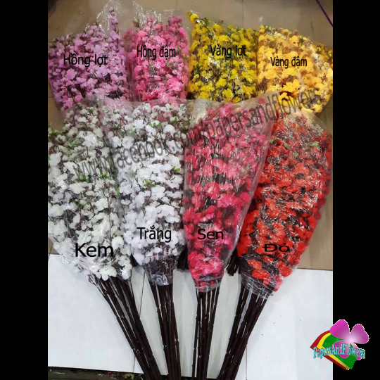 10 bó cành hoa mai, hoa đào