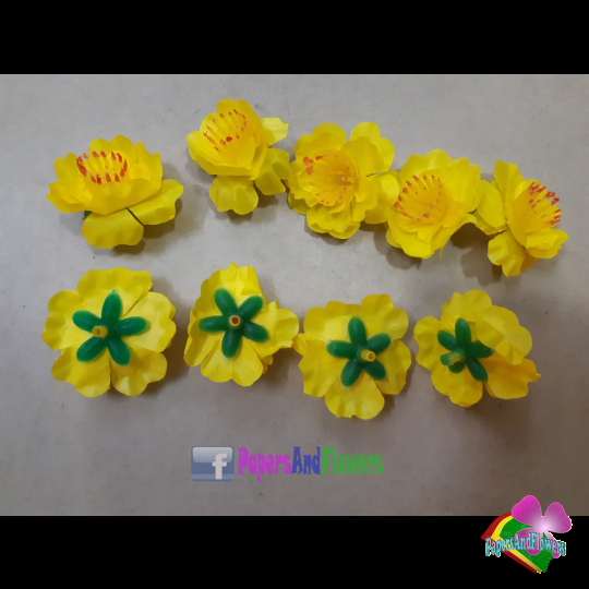 Hoa mai hoa đào kg