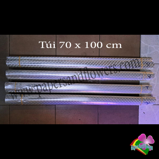 Túi kiếng 70 x 100